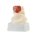 E.T. A fun, two-part bath bomb with a removable head of the classic film, alien character E.T. The product is wrapped in a muslin cloth and sits in a square, silver basket base.