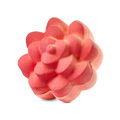 Comforter Rose. A vibrant coral-coloured bath bomb sculpted into the shape of a blooming rose with thick, rounded petals. The textured surface has a matte finish with subtle peach-coloured highlights.