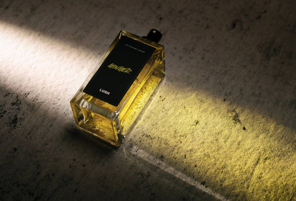 Ginger, a bottled, black label perfume, lies flat, with light shining through it, creating a pale golden cast of light.