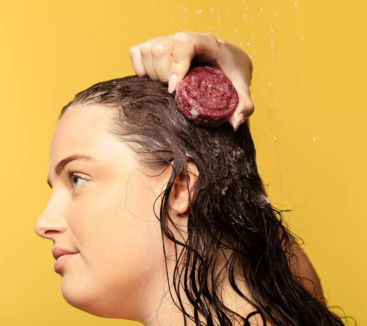Jason and the Argan Oil | Rose Shampoo Bar