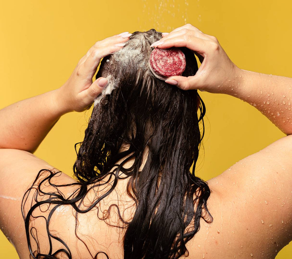 Jason and the Argan Oil | Rose Shampoo Bar