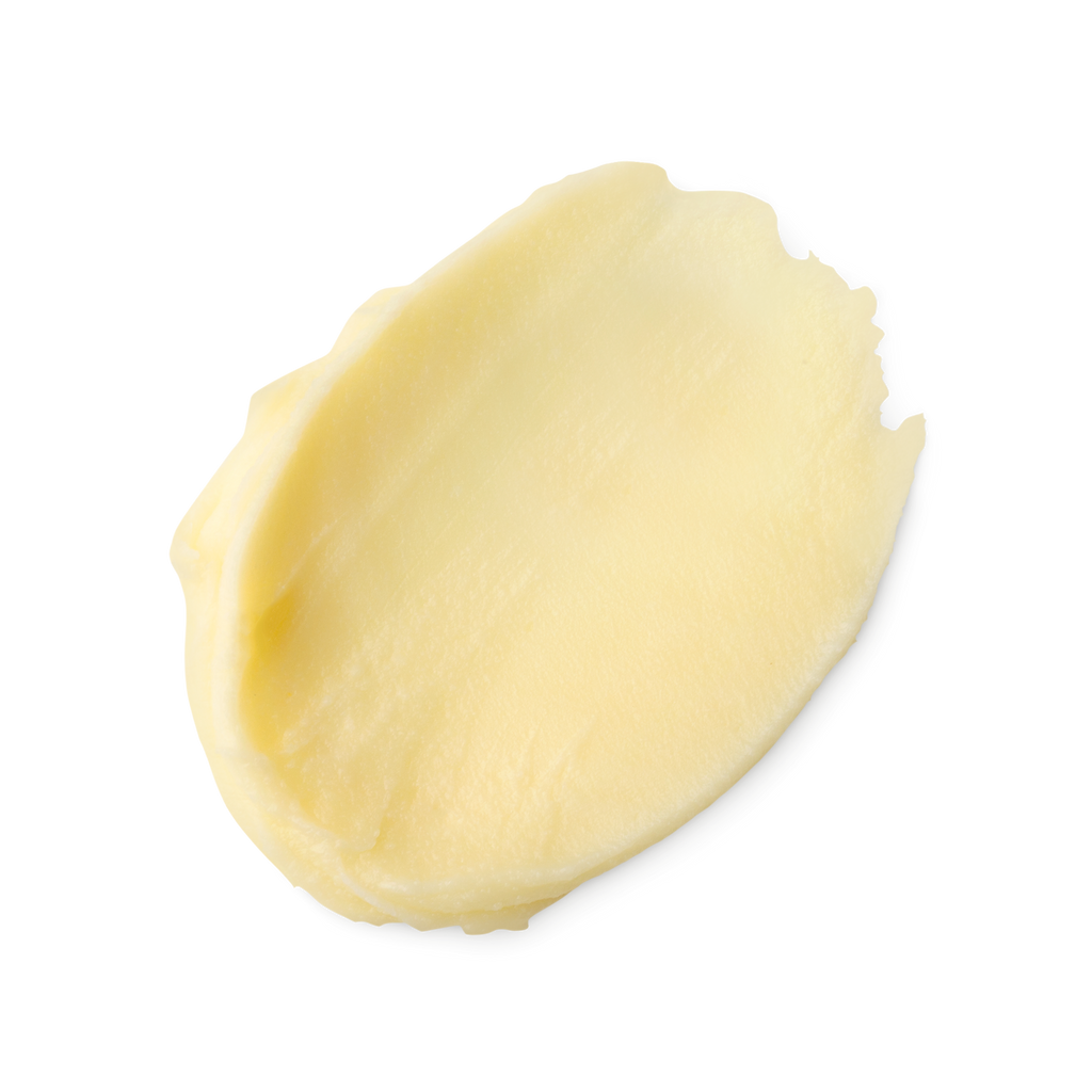 Magical Moringa Primer
