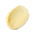 Magical Moringa Primer