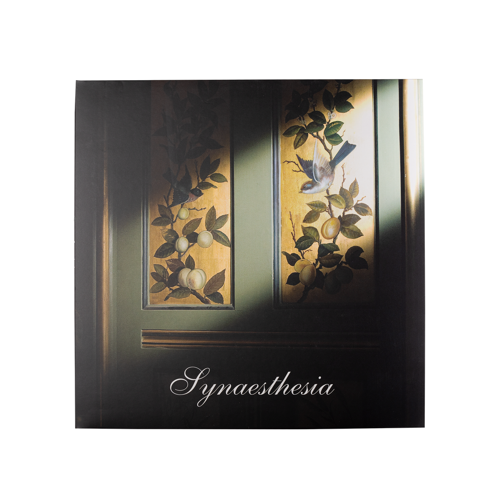 Synaesthesia Vinyl With USB